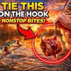 Tie This On The Hook Like This And Fish Won’t Stop Biting — Championship Technique In The South