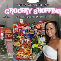 NEW Apartment Grocery Shopping | Fridge Organization | Grocery  Haul | ASMR Fridge Restock