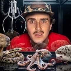 I Bought a Live Animal Claw Machine! 