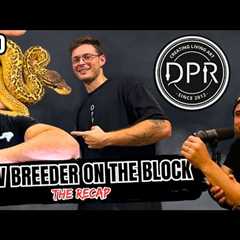 Bending The Rules In The Ball Python Game... Thinking OUTSIDE The Box | NBB Recap (Live)