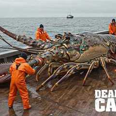 Fishing Documentary| How Raising 2 Million Fish in Floating Cages Feeds a $1 Billion Global Industry