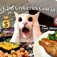 Grocery Shopping in Canada 🇨🇦 | How Much Do Groceries Cost in Toronto?