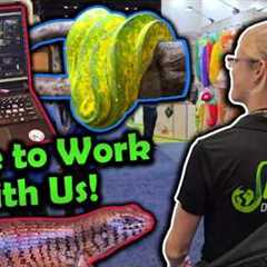 From Pet Expo to Snake Breeding in 24 Hours