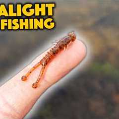 The LITTLE Details Can Make A BIG Difference! (Ultralight Fishing)