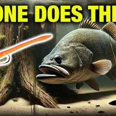 The Old School Bait That Still Crushes Bass (Floating Worm)