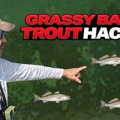 EASIEST Way To Catch Sea Trout In A Grassy Bay