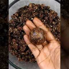 Eat 1 Everyday | Get Sharp Brain, Strong Bones | Rich In Calcium & Vitamin E #shorts..