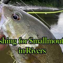 Fly Fishing for Smallmouth Bass in Rivers