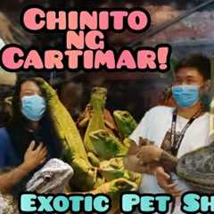 Bilihan ng Exotic animals Sa Cartimar! 2022 Price update! 100% exotics lang sakalam!