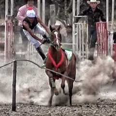 Accidente En Carreras De Caballos | Sierra De Durango Mex.