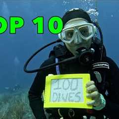 Top 10 St. Maarten Dive Sites / Part 1 - Week 11, 2025