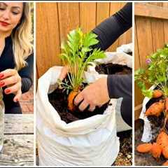 10+ DIY Garden Ideas for Growing Vegetables (Simple Home Gardening Tips)