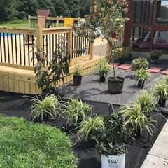 DIY Landscaping around a pool and deck