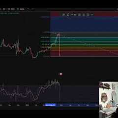 Tradoor Crypto Rug Pull: Can It Bounce Back?