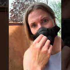 You won’t believe what this antique was hiding!