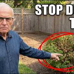 My 14 Most Valuable Landscaping Tips for ANY Garden