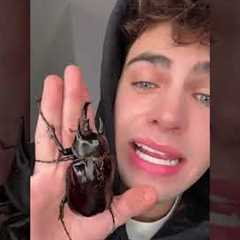 PET TOUR! 🐸 (please be aware these are all exotic pets are require specialist care)! I will have i