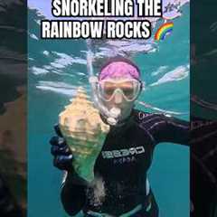 such a cool, colorful dive right off the beach 🪸 #ocean #diving #underwater