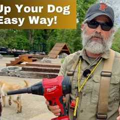 Clean Ticks & Allergens Off Your Dog The Easy Way!