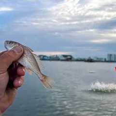 I Tossed LIVE CROAKERS Here and Can't BELIEVE What Happened Next!!