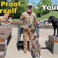 Tick Proof Yourself & Your Dog | A Professional Field Guide