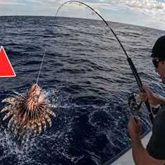 I Found this fish FLOATING AND ATE IT! *Catch & Cook*