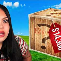 BUYING THE MOST EXPENSIVE MYSTERY BOX