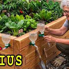 17 Clever FREE Gardening Hacks from Grandma | More Food for Less Effort
