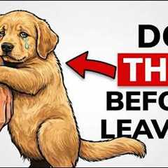 Before You Leave Your Dog Alone, Do THIS for 30 Seconds (Instant Calm)