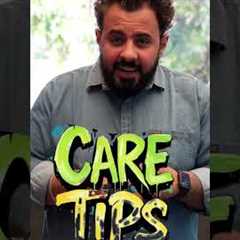 The Ultimate Guide to Dog Training: Tips, Tricks, and Techniques for All Ages