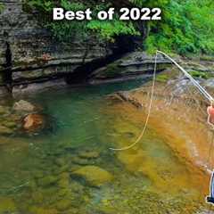 THE BEST FLY FISHING / TROUT FISHING VIDEO!! (Best of Compilation - 2022)