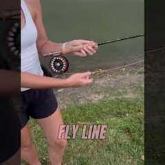 5 things you need to start fly fishing #fishing #bassfishing #flyfishing #learning #fish #outdoors