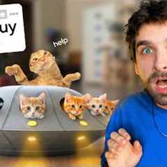 I Tested WEIRD BANNED Cat Gadgets on My Kittens (AGAIN)