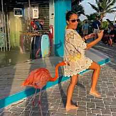 Best Funny Fails Compilation 😂 Epic Moments You Have to See #trynottolaugh #instantregret #funny