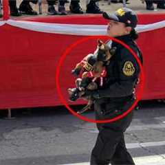 Police Dog’s First Day… He Needed a Lift 😂🐕🔥