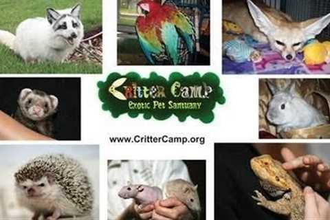 5 Exotic Facts About 5 Exotic Pets