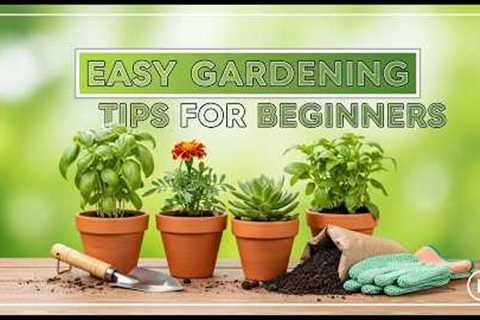 Easy Gardening Tips for Beginners