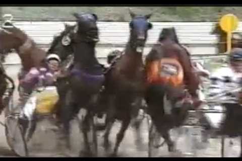 Harness Racing Accident,Bulli Paceway-21/01/1991 (Bright Flyer-G.V.Frost)