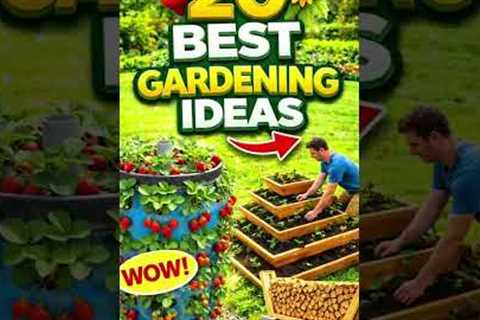 20 Genius Gardening Ideas You’ll Wish You Knew Earlier 🌿