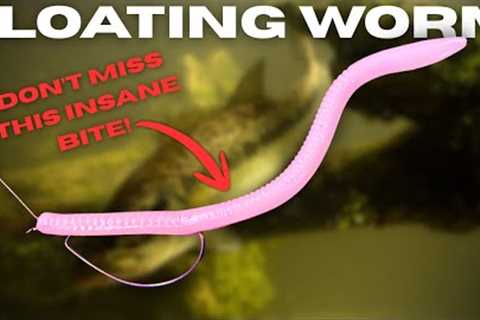 I Wish I Knew THIS Sooner About The FLOATING WORM! | Everything You Need To Know
