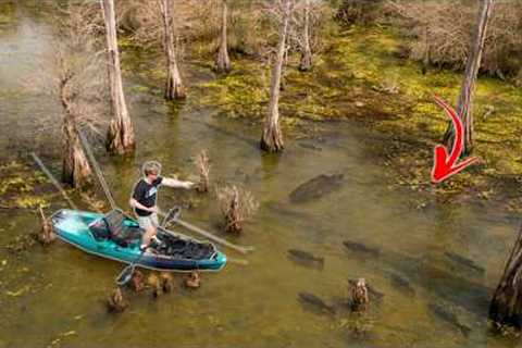 Exploring A FLOODED FOREST Loaded With Aggressive FISH! (Kayak Fishing)