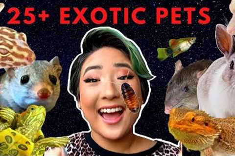 MEET ALL MY EXOTIC PETS AND ANIMALS 2019! // 25+ Amazing Creatures (I have an exotic zoo!)