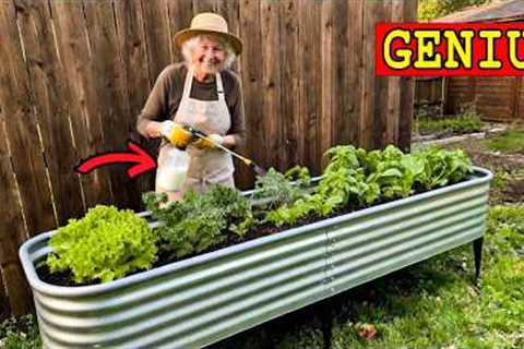 27 FREE Gardening Tricks for Seniors to Grow Bigger Harvests With Less Work