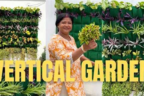 Vertical Gardening Ideas || vertical hanging plants ideas || Best plants for vertical garden