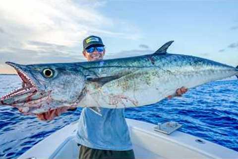 DEEP Sea Kingfish! Catch Clean Cook (Kingfish)