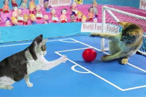 Funny Cat Playing Football - Kitten Play