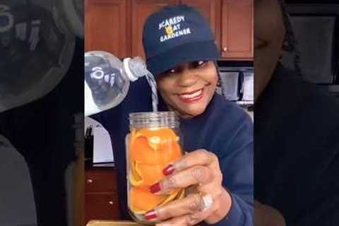 Orange peel Pest Control! #shorts #gardeningtips