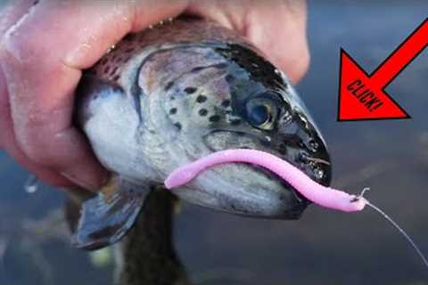 How To Fish Plastic PINK WORMS To Catch Trout! (EASY &amp; EFFECTIVE!!)