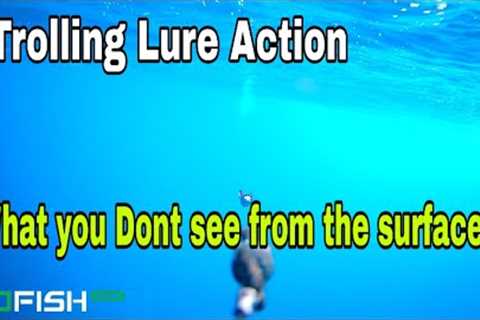 Trolling the Go Fish Camera and A big CowBell lure offshore fishing Tackle testing most satisfying