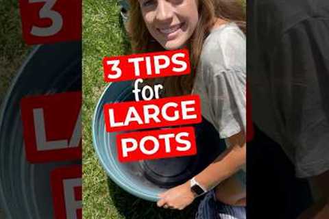 3 tips for planting large pots #greenthumb #planthack #pottedplants #plantlover  #planttherapy